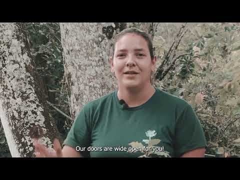 Institute du Juventude Creativa - experience