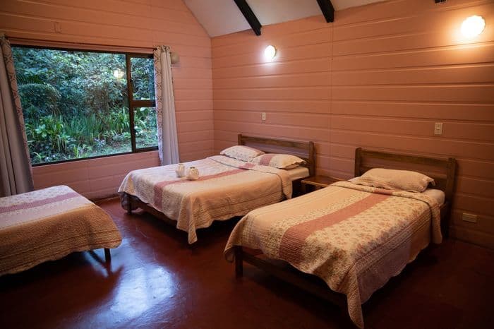 Cabanas Orchideas